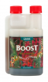 CANNA Boost Accelerator 250ml
